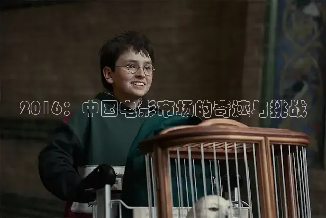 51软件