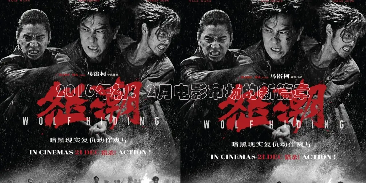 51软件